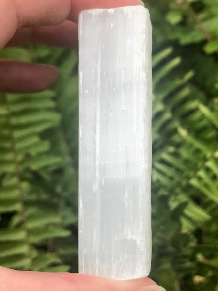 Selenite Wand - Morganna’s Treasures 