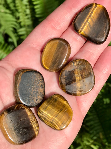 Tigers Eye Medallions - Morganna’s Treasures 