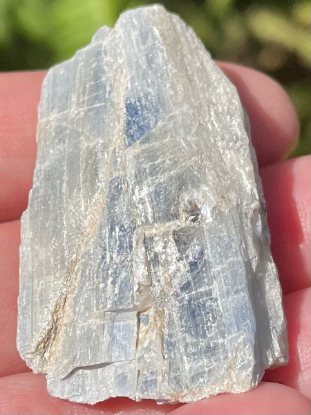 Rough Blue Kyanite Palm Stone - Morganna’s Treasures 
